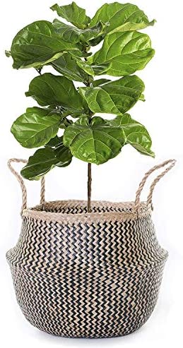 BeeGreeny Handwoven Seagrass Belly Basket | Black Zig-Zag Foldable Storage Basket with Handles for Laundry, Picnic, Pot Cover, Decor | Natural, Eco-Friendly Household Items