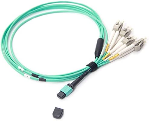 10Gtek MPO-MPO 광패치 케이블 OM3 멀티 모드 광화이버(fiber) 8심 QSFP+모듈용 광화이버(fiber) 케이블 50/125μm LSZH 1m