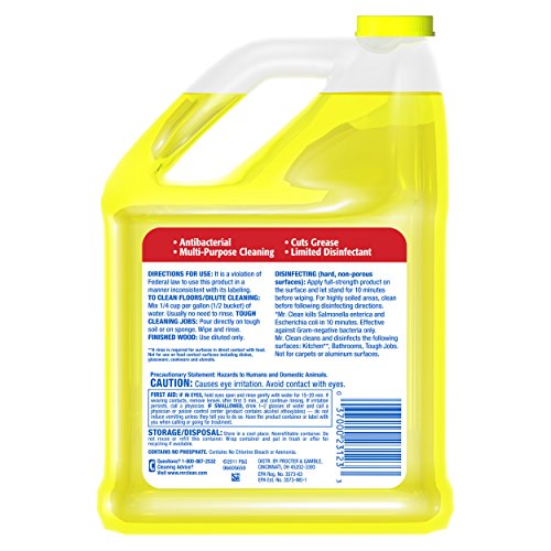 Mr. Clean Multi-Surfaces Summer Citrus Antibacterial 리퀴드 Cleaner